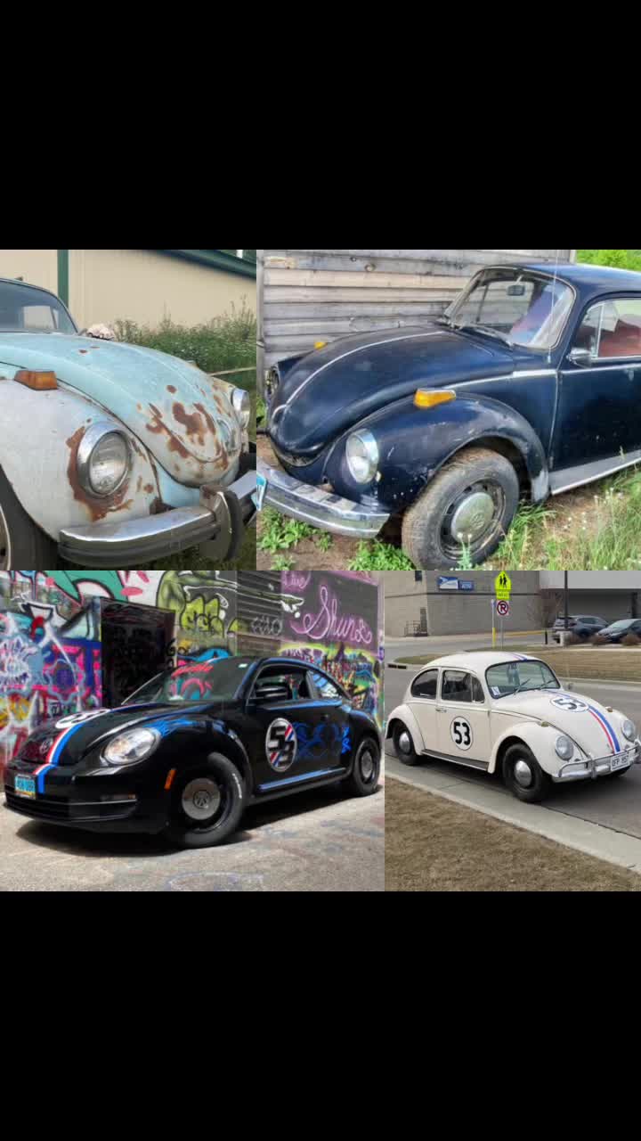 @Shelbie the Love Bug