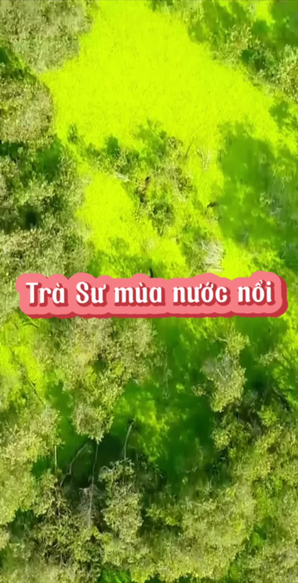 @Cris Trương Official