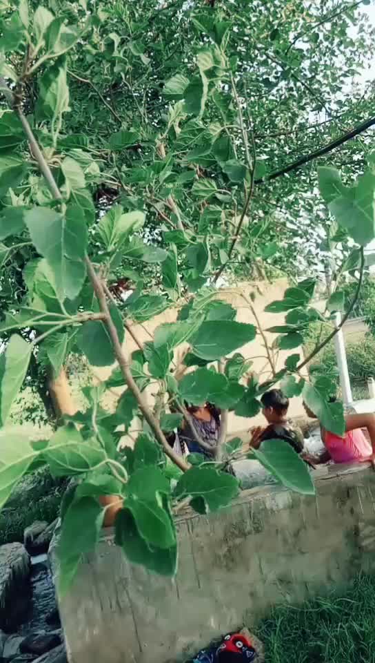 @Sahib Nahar 444