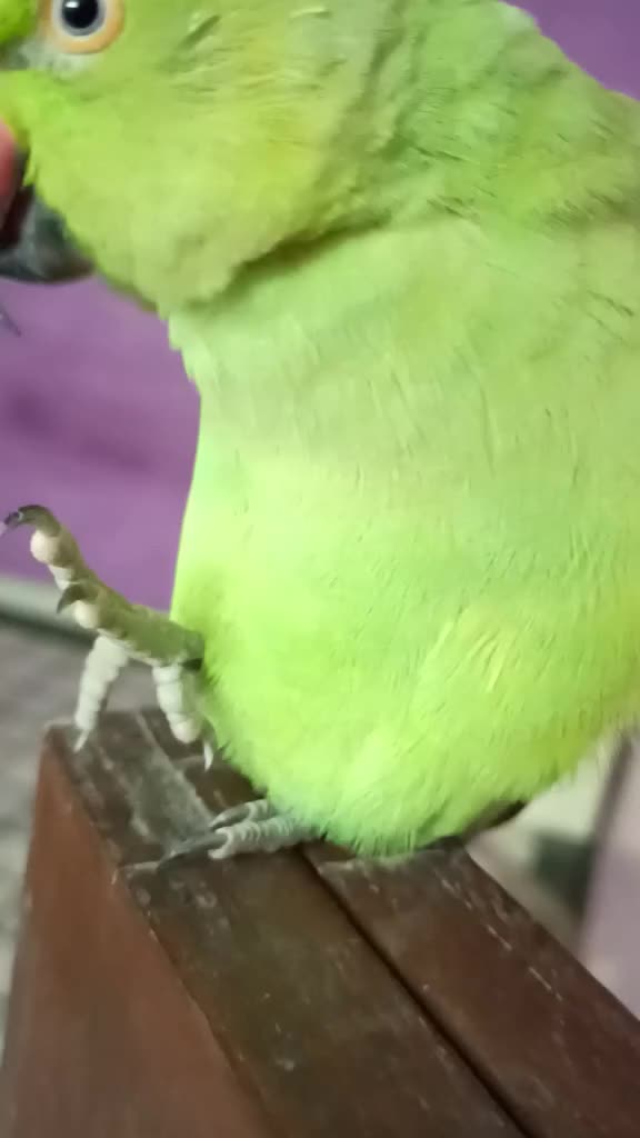 @Muskan Rajpoot