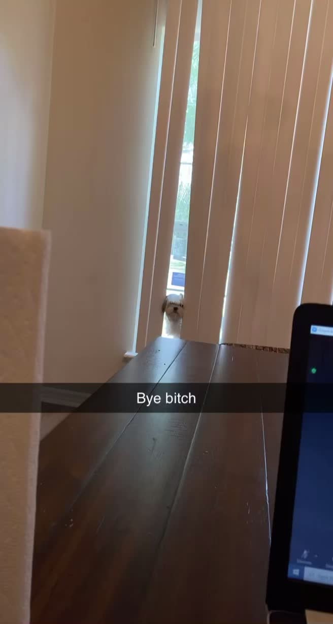 @Lacey Nevo