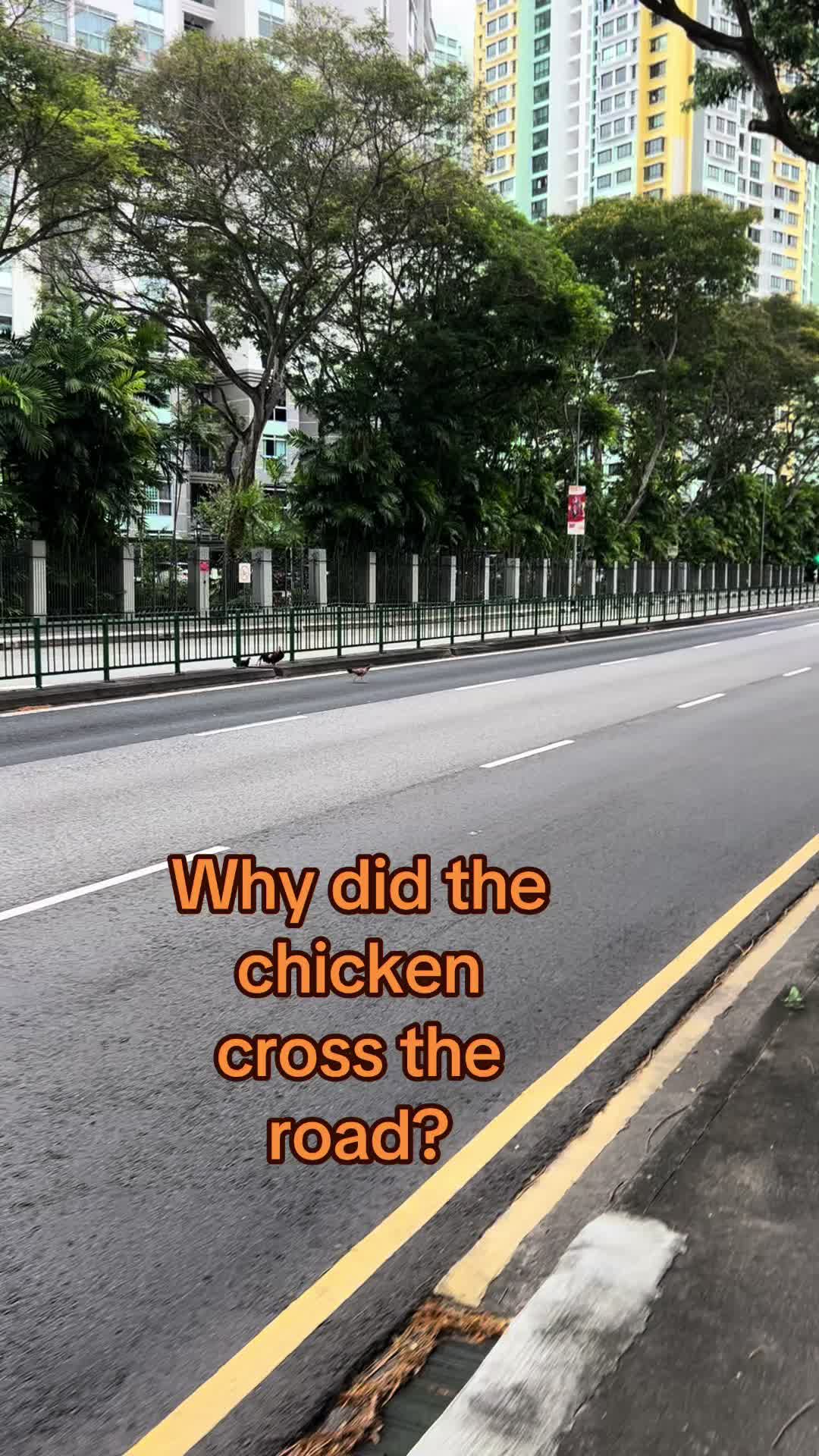 @kencheong8