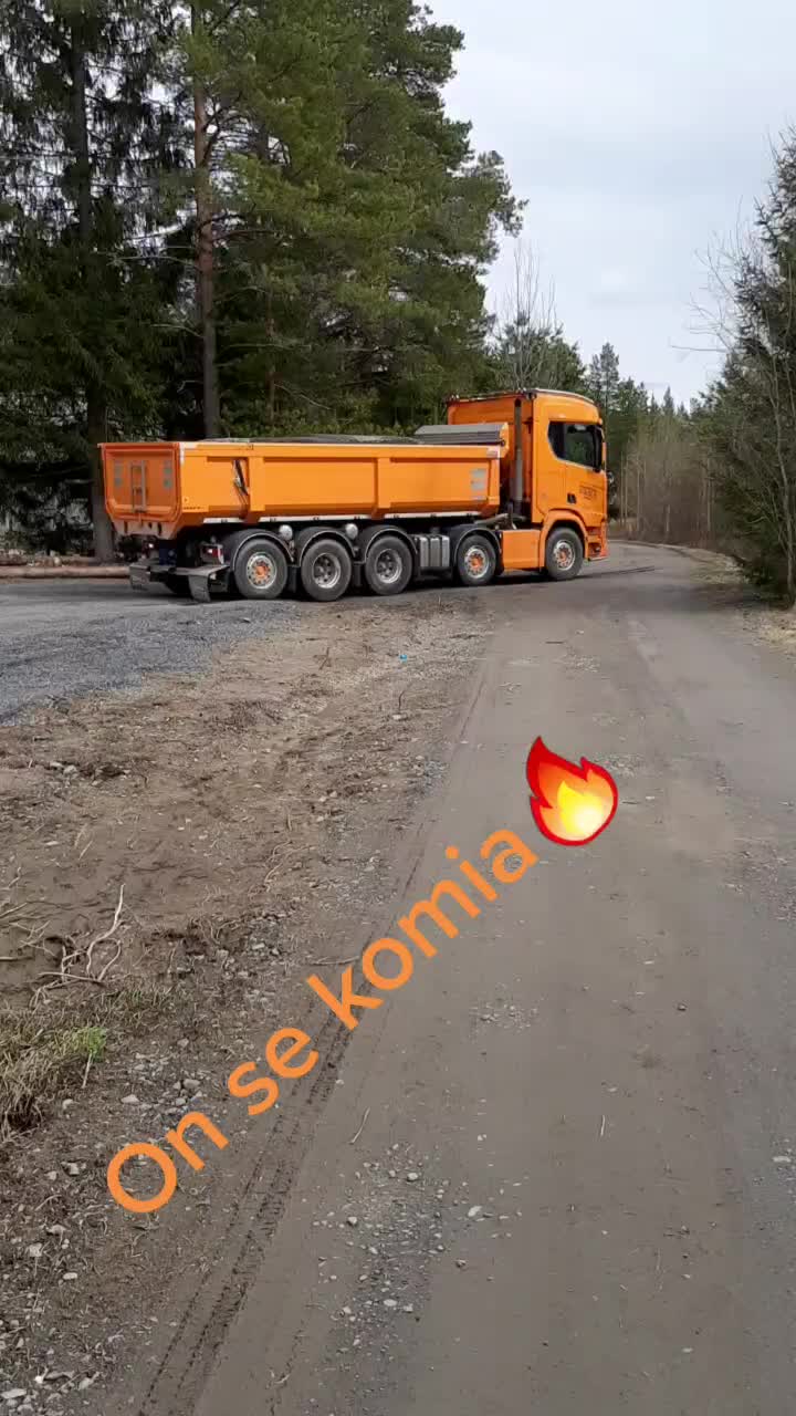 @mandoliino_pro