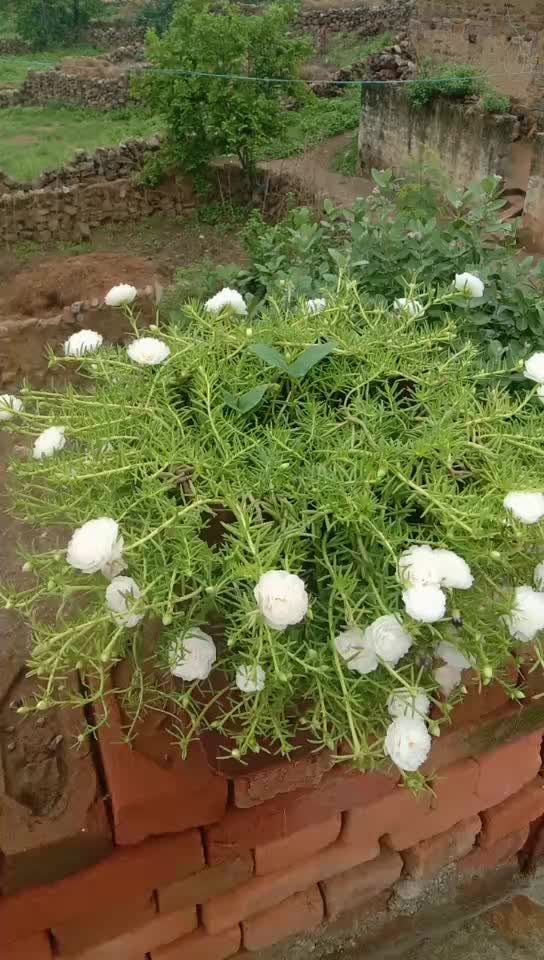 @@amita123