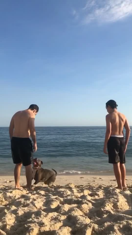 @João Vitor Maldonado