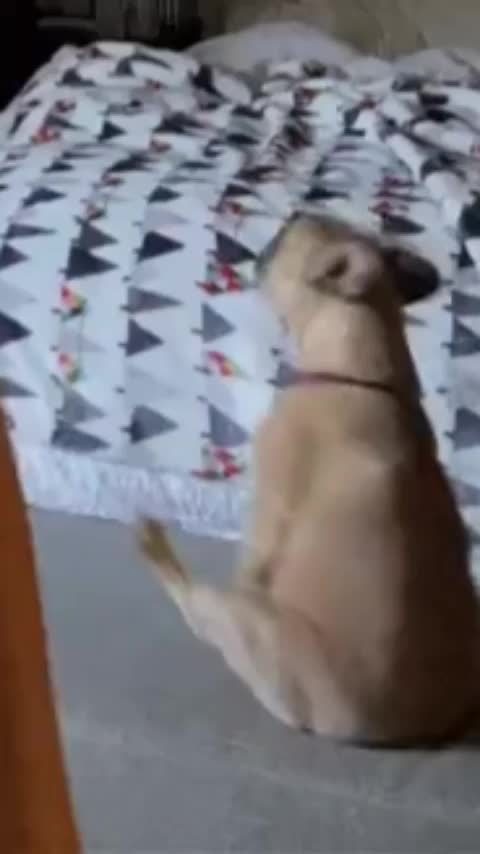 @👋
