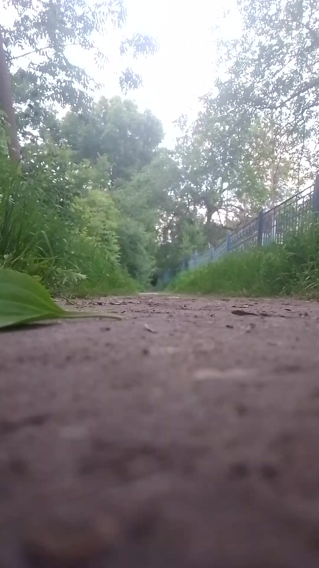 @Настя