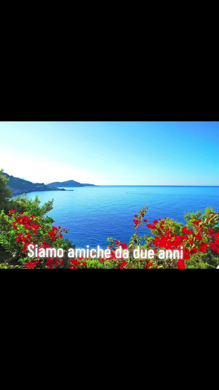 @Teresa Vinci