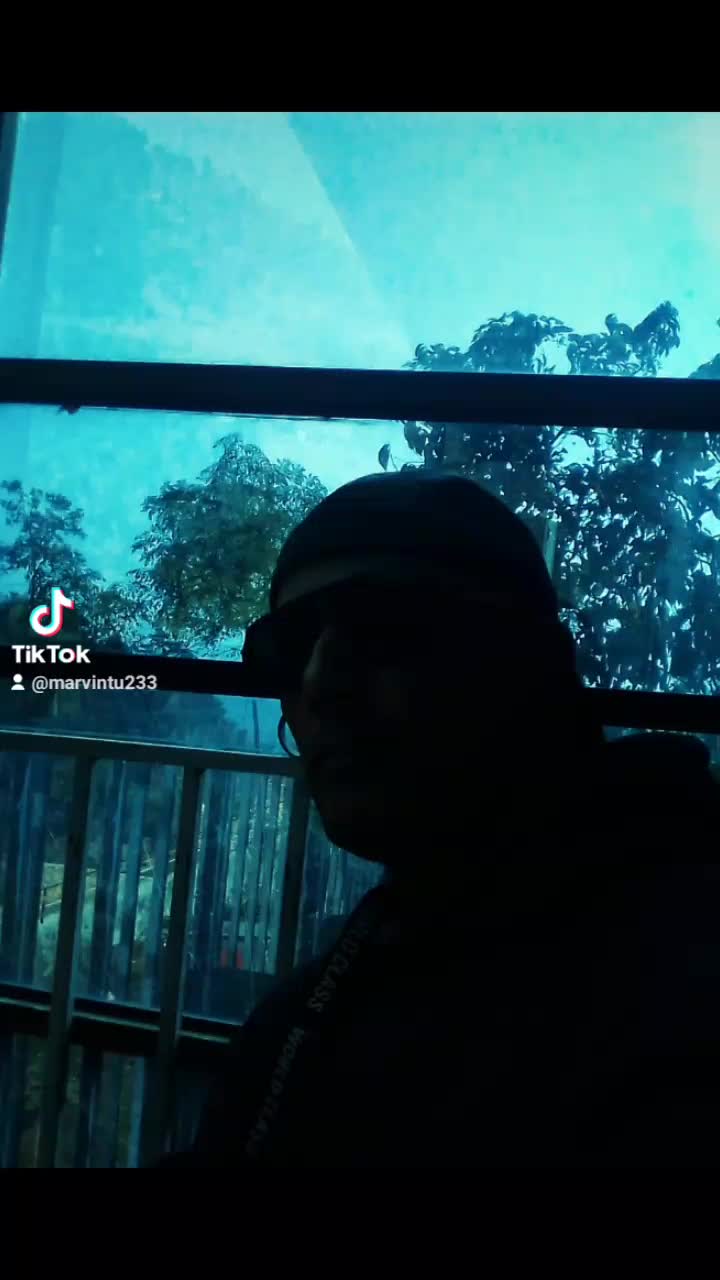 @Marvin Tu233