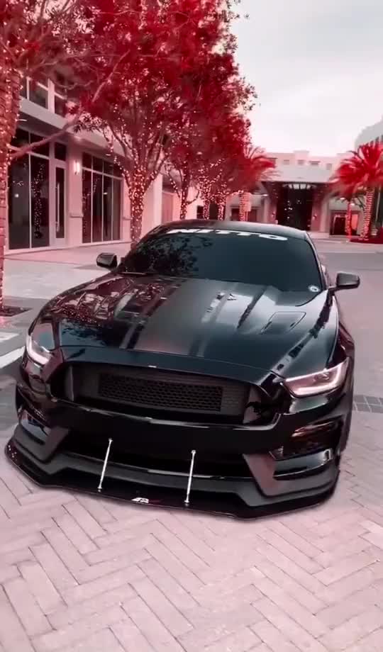 @ФЕДЕРАЦИЯ