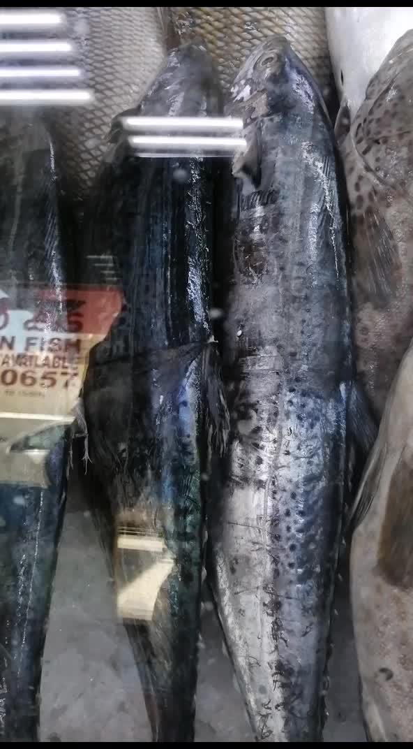 @fish mart@007