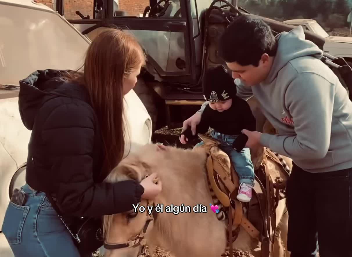 @ana_213_4