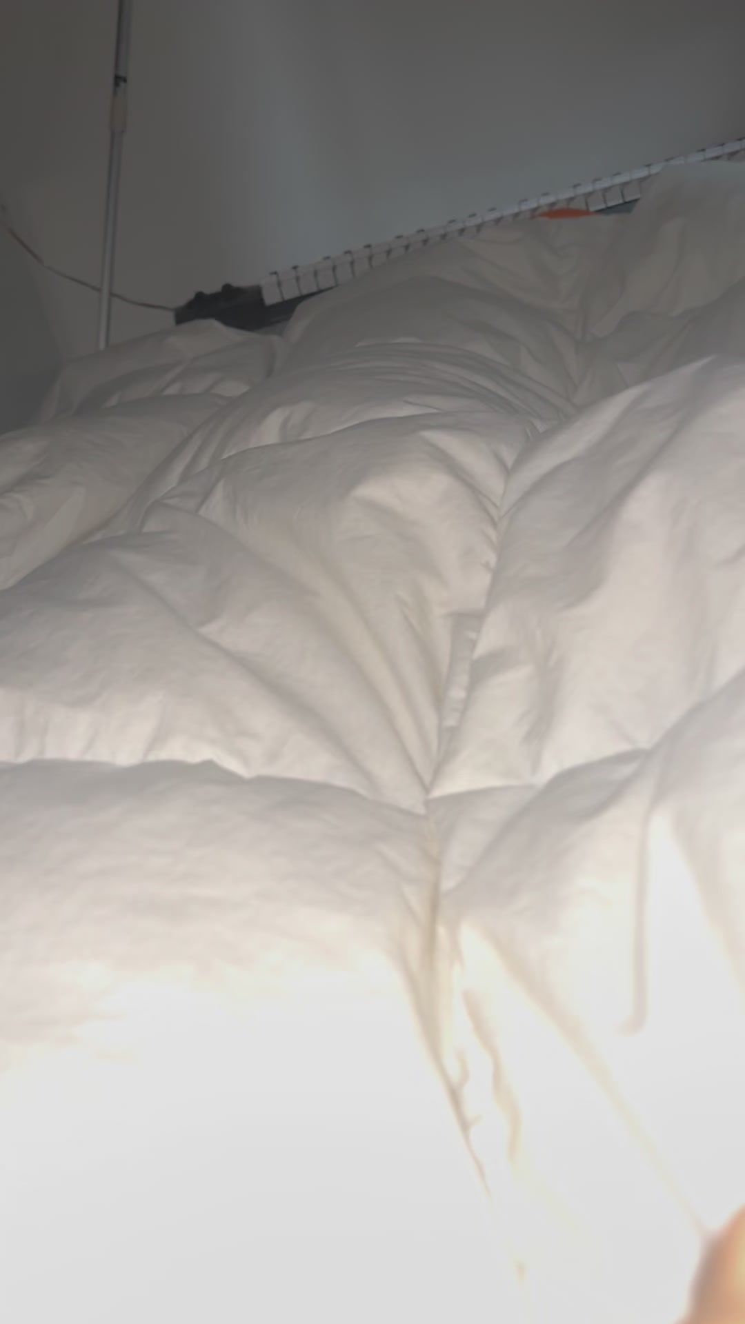 @MimitheNapcat