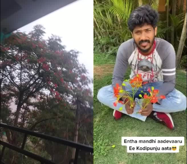 @AlluchantiChanti
