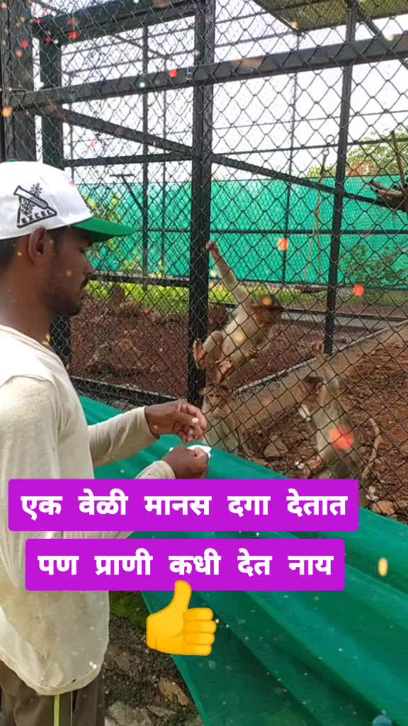 @Vilas Khandvi