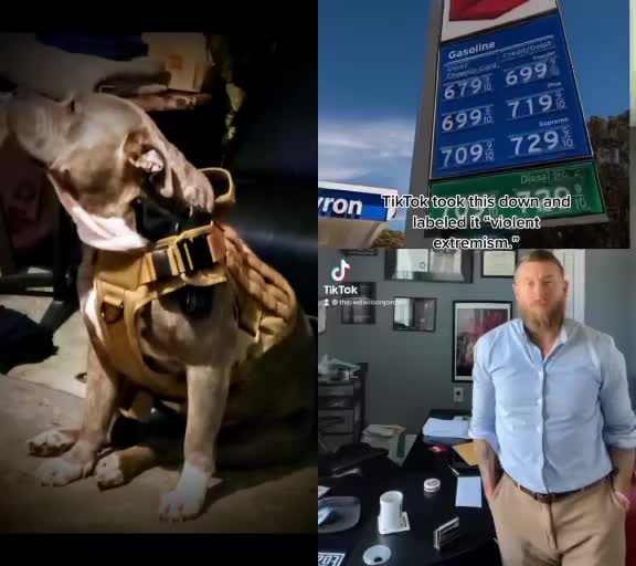 @Flextimebullyz
