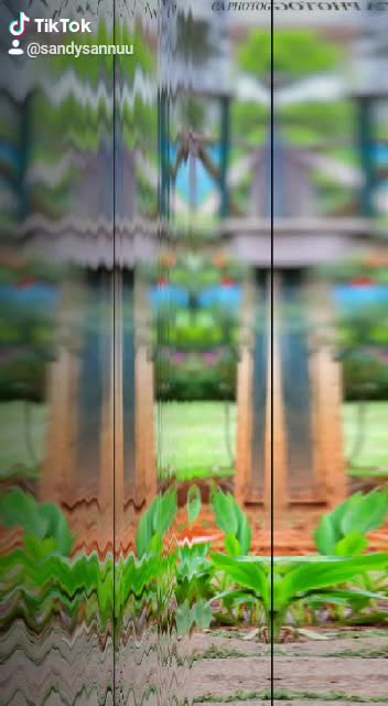 @bhavyagowda1212