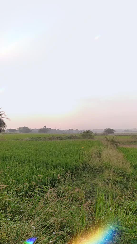 @srinivaspesari1995
