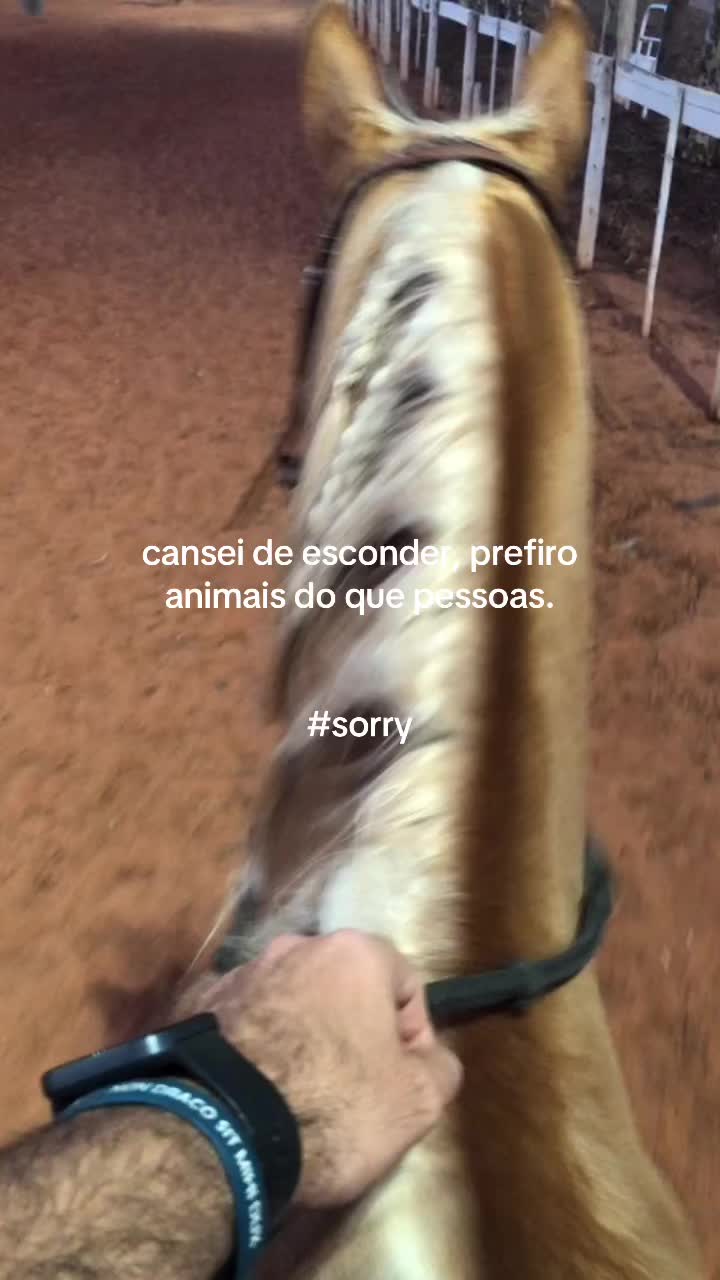 @Gustavo Baroni
