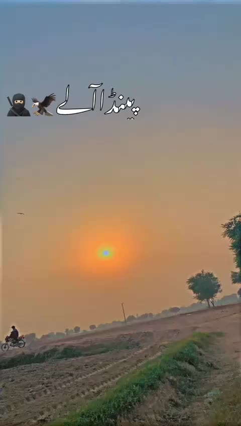 @پینڈومنڈا🦅🥷🏻