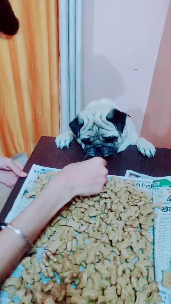 @Komal shukla