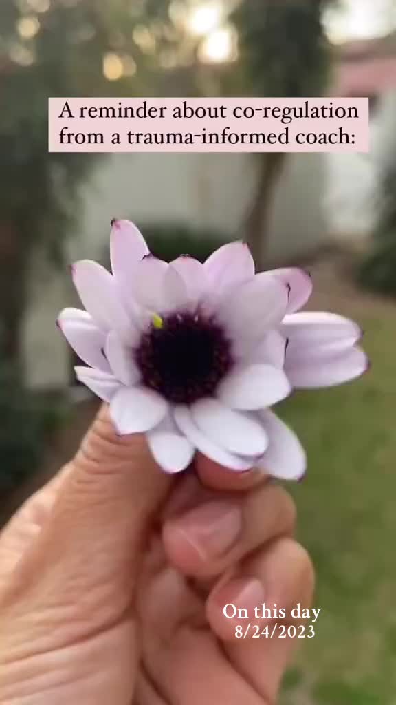@johara_hassem