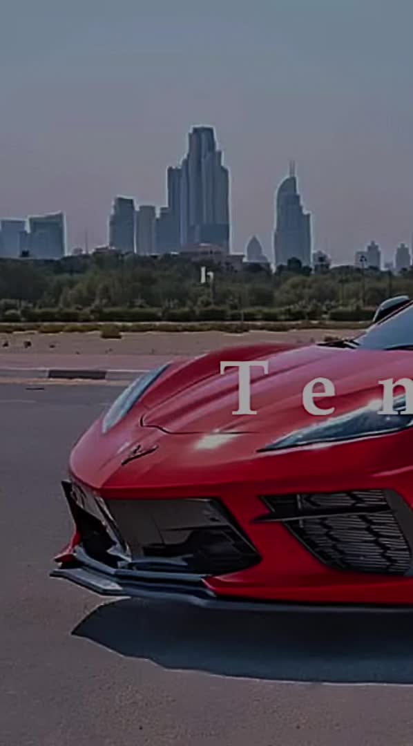 @تیمساح تیک تۆک 🐊