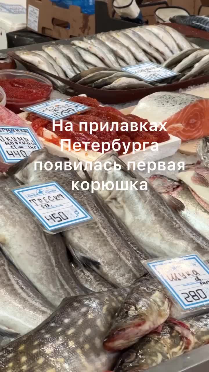 @Spb.dnevnik