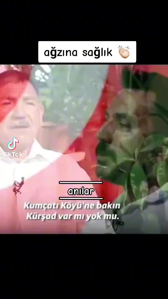 @Hamidullah Dağdelen