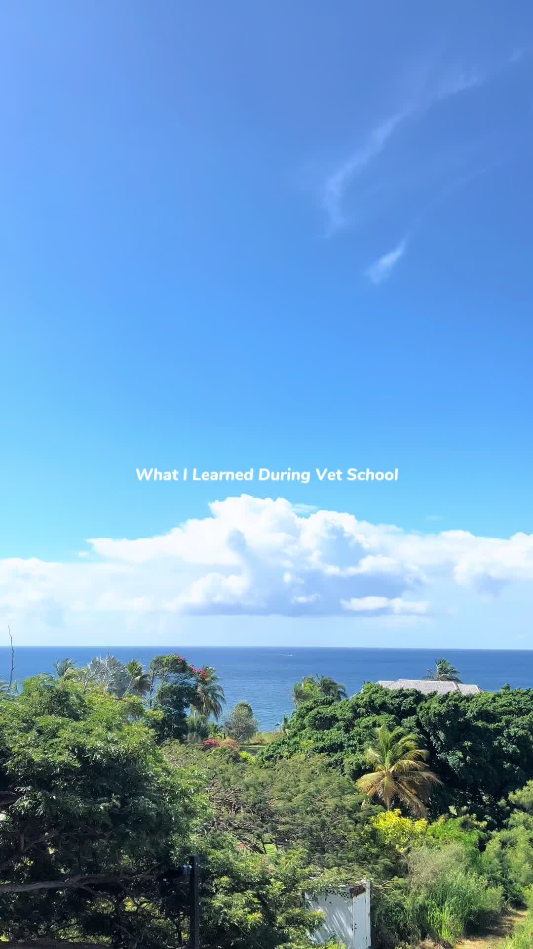 @lau