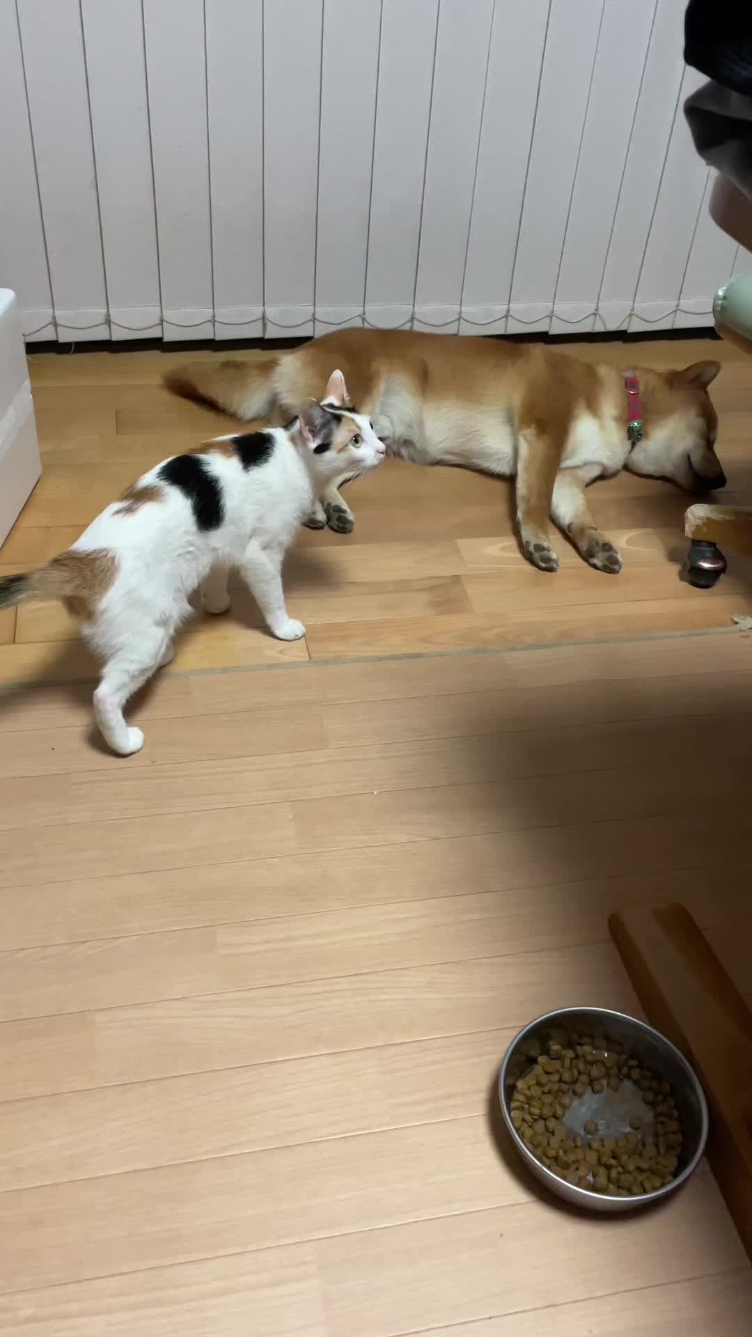 @ゆきぴ