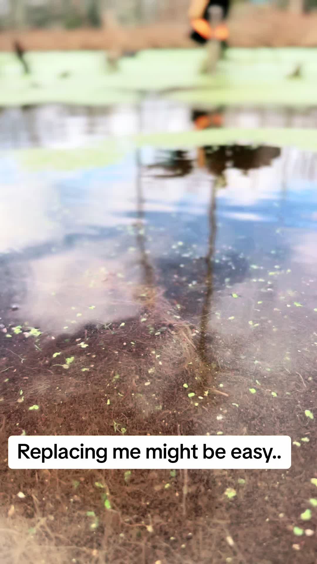 @Brandon Duty🦆