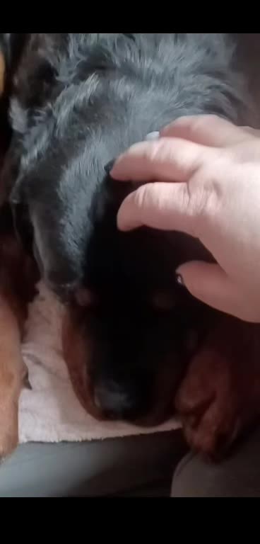 @eelkaa1988wp.pl
