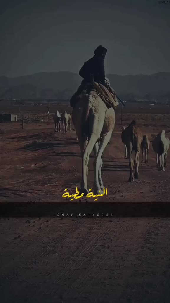 @3b almrii