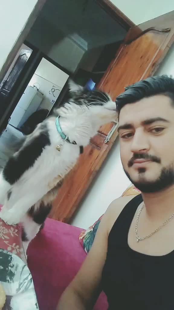 @mouad larhrabli