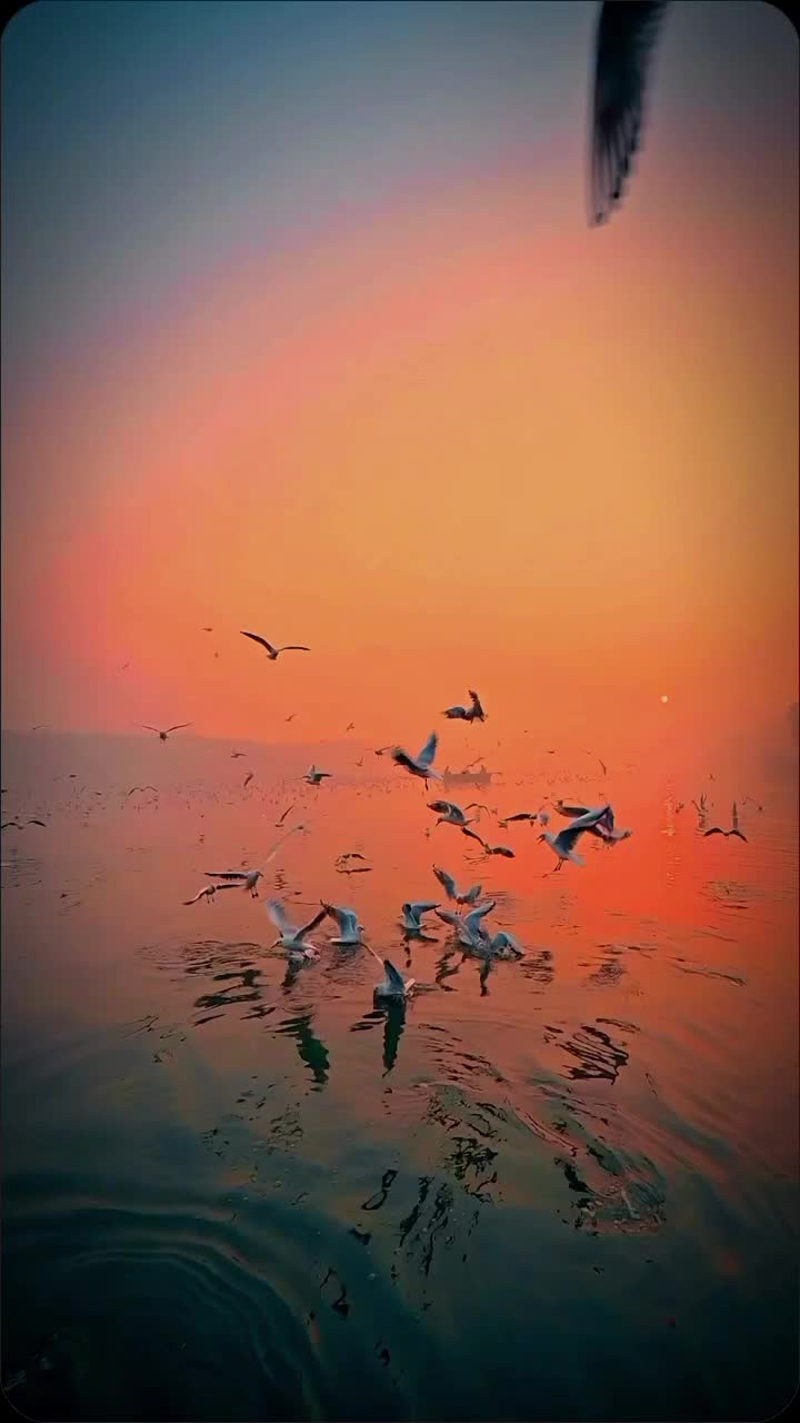 @Anand27