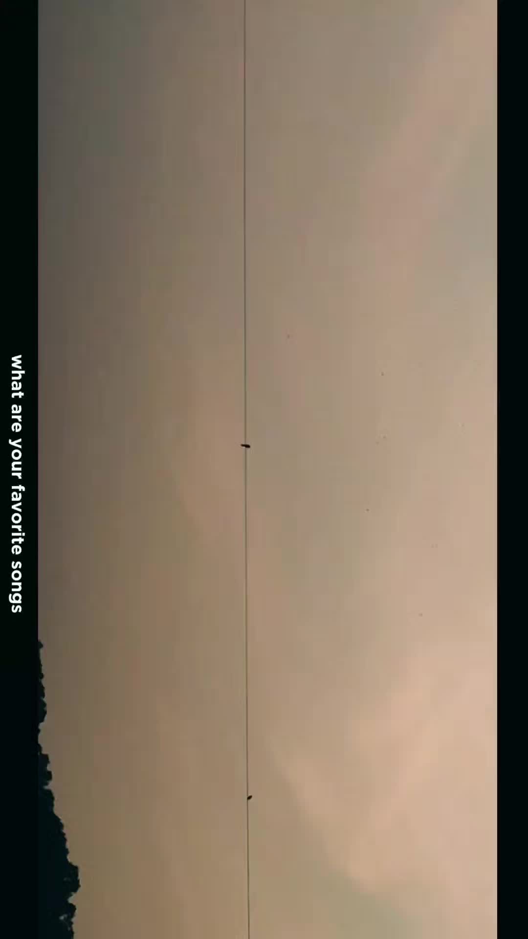 @W H  T A M I M