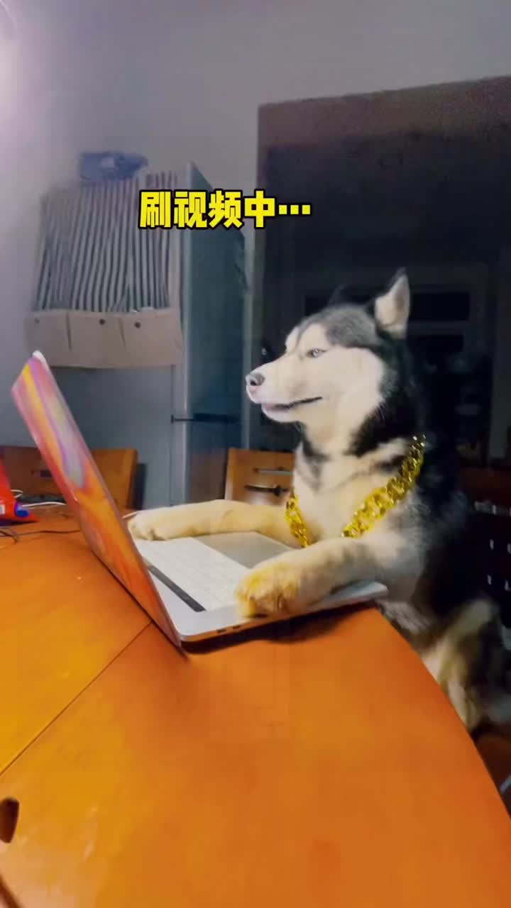 @Rufeng518