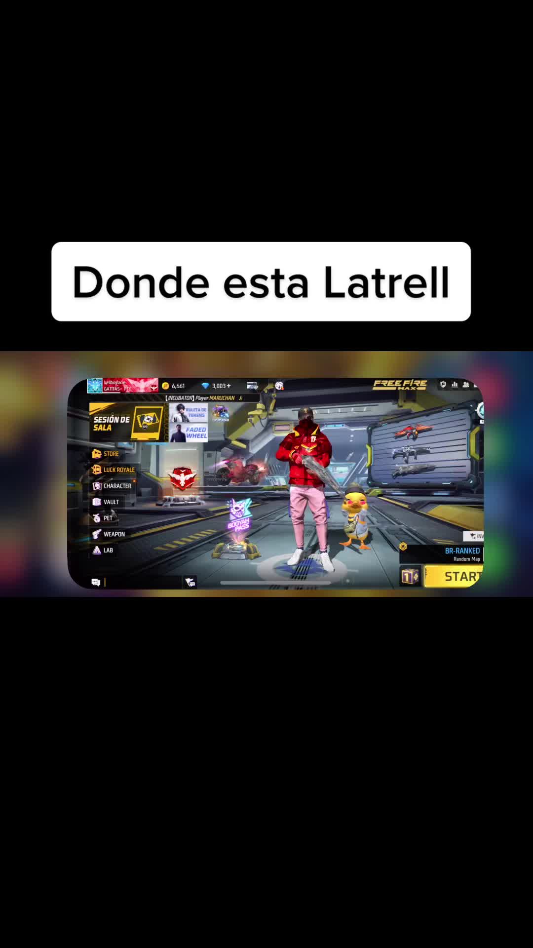 @XIIIPAINXIII