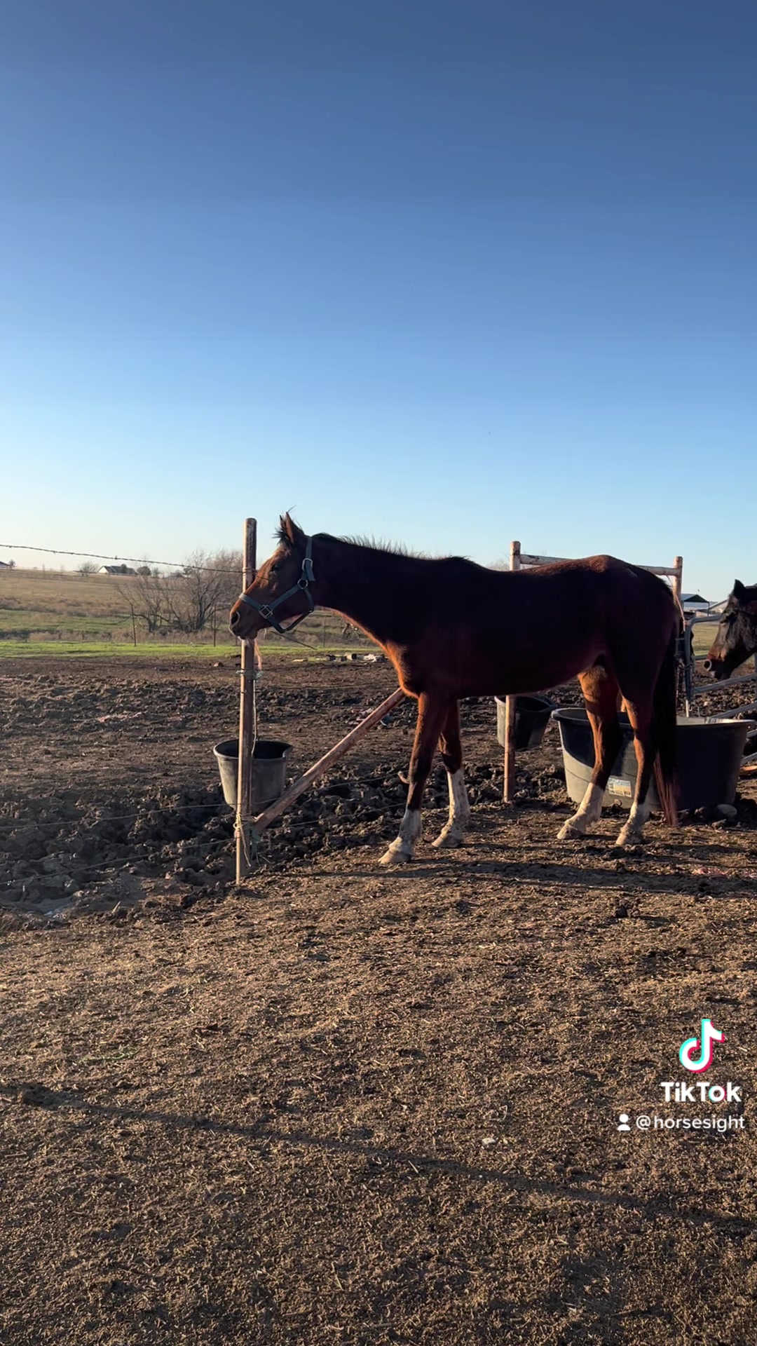 @Emotional Healing for Trauma