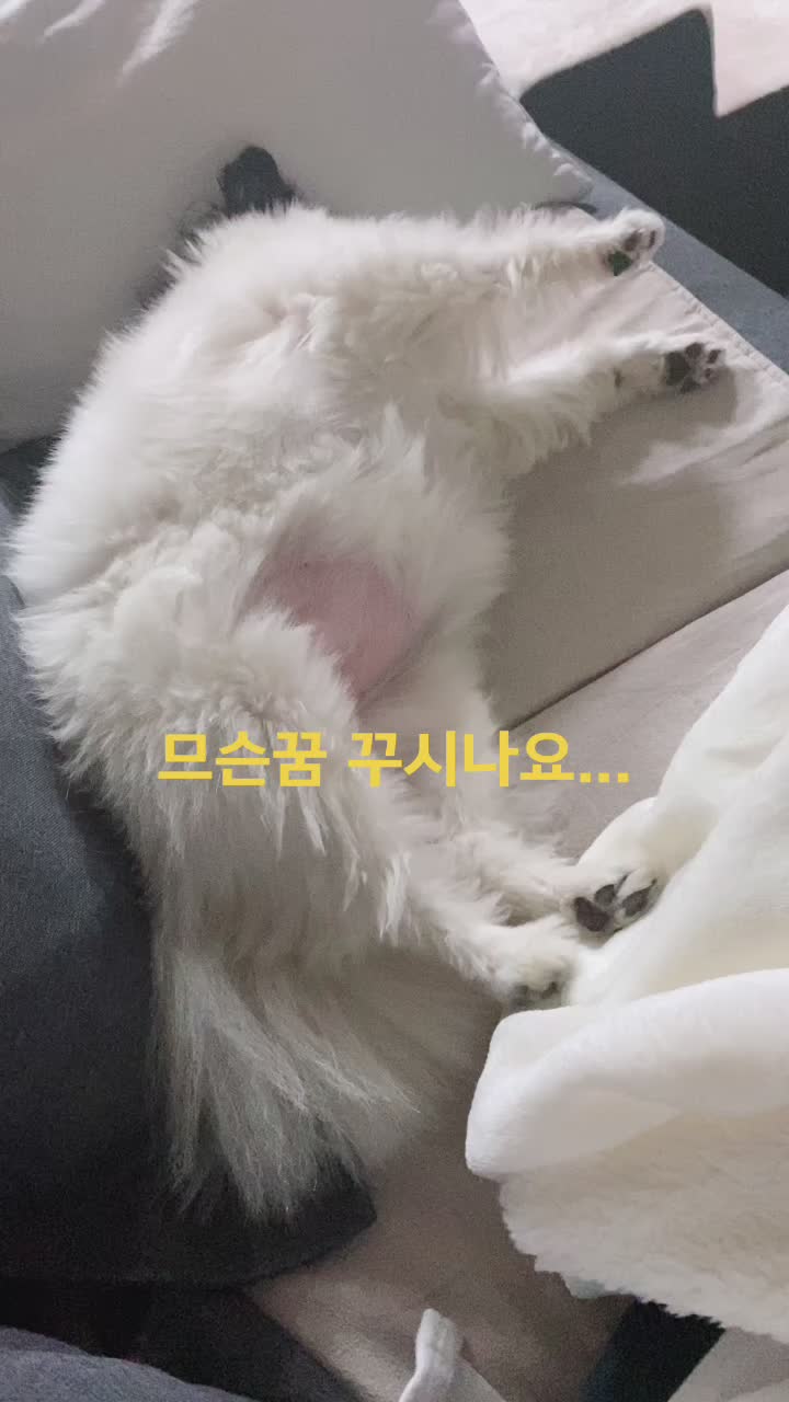 @jju