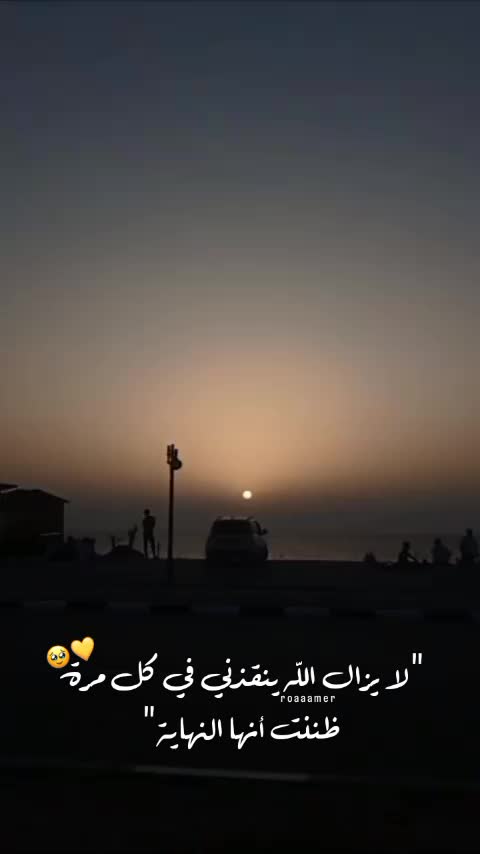 @roaa_amer