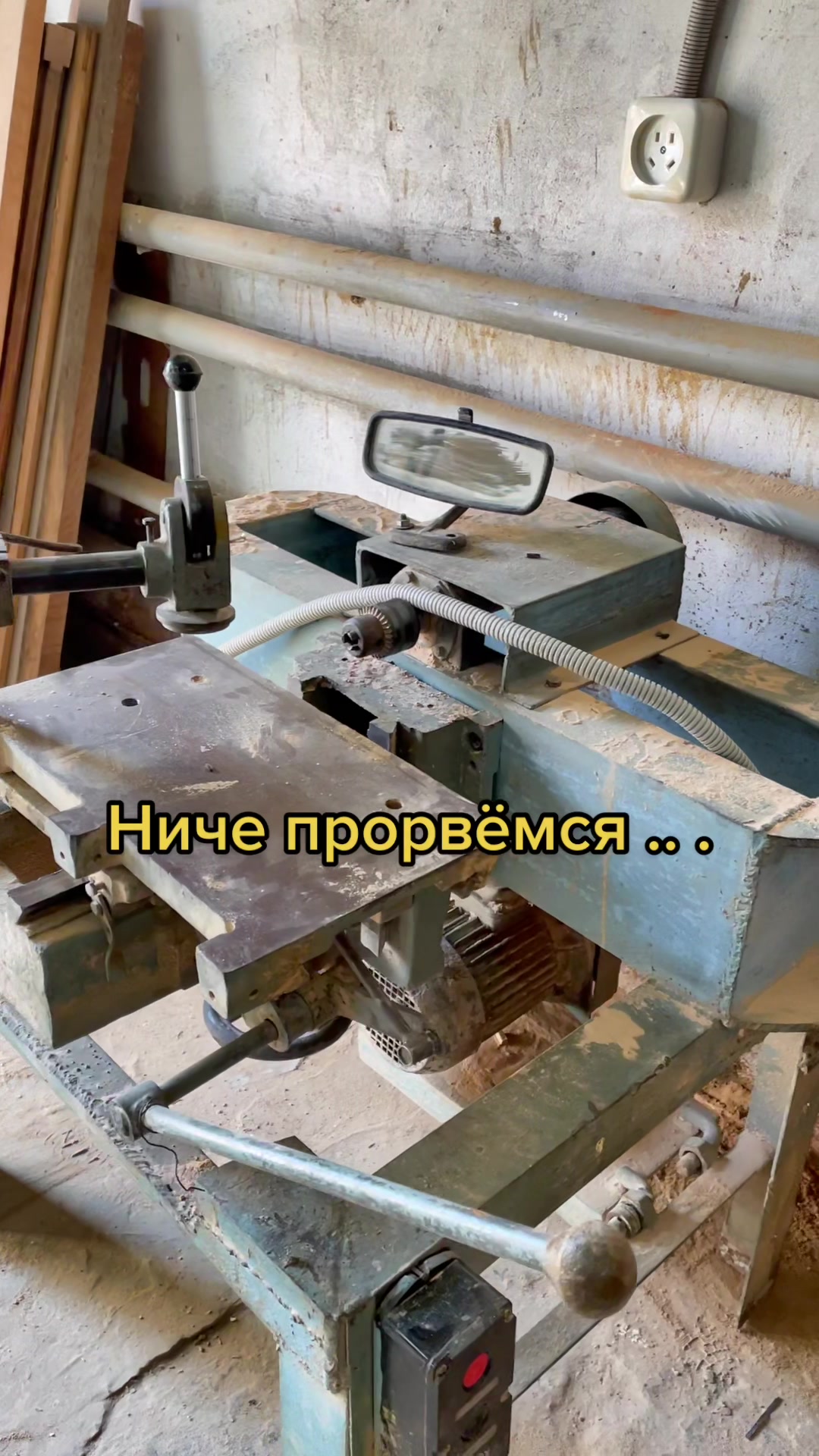 @Елена Кельтура