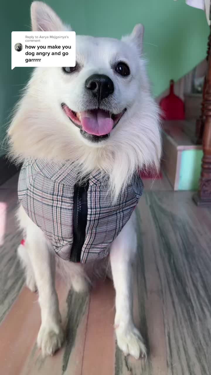 @Puntu❤️