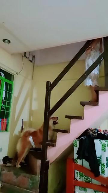 @Alma's Ukay-Ukay