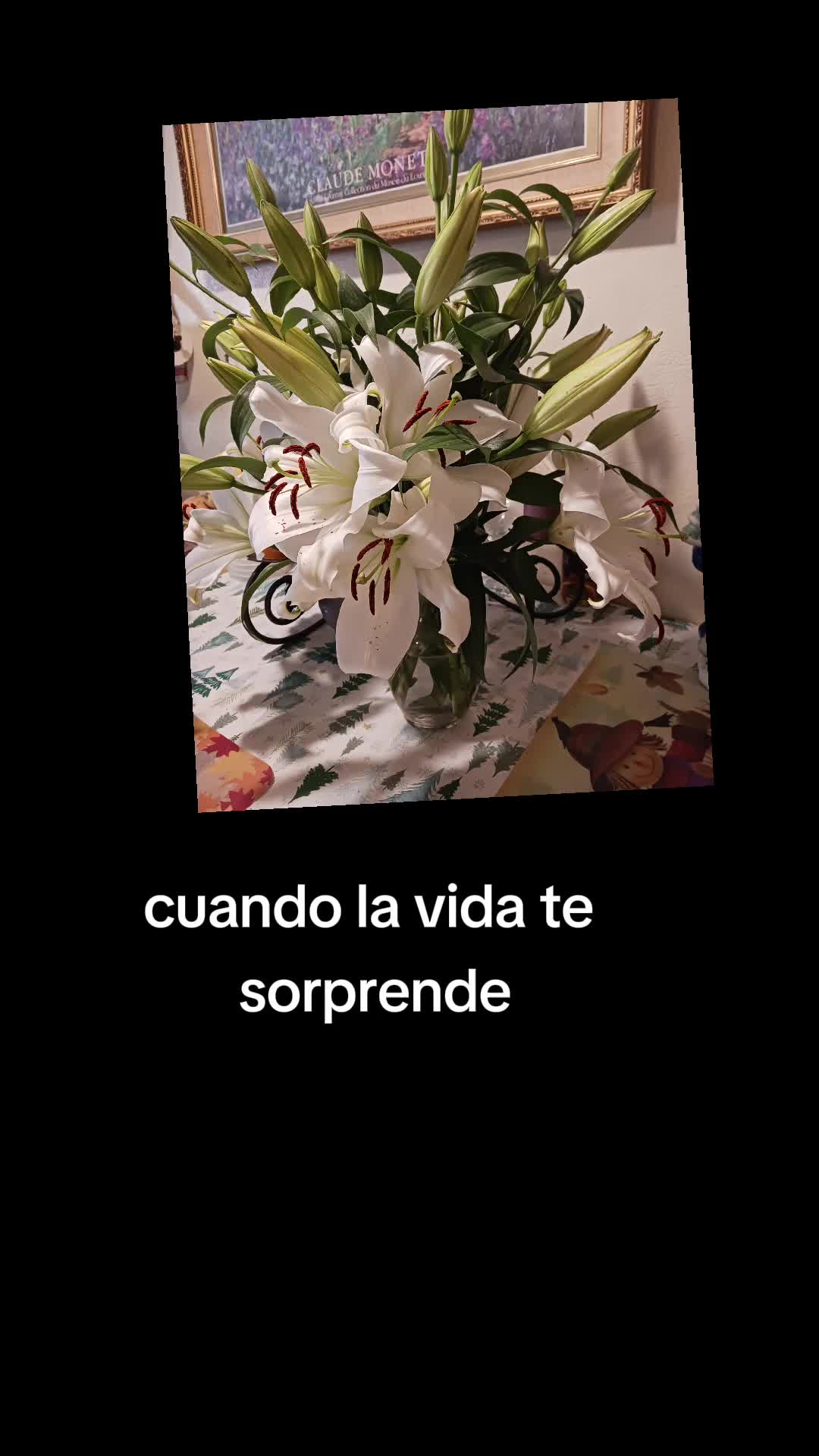 @jazminzuaso