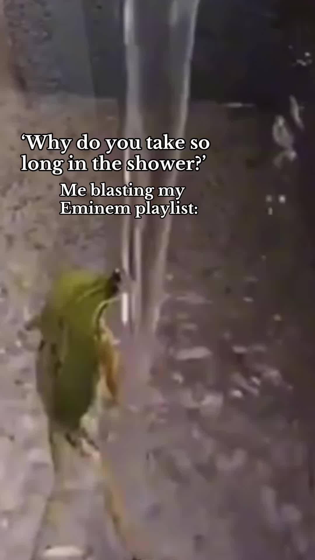 @𝓣𝓲𝓵𝓵𝔂⭐️