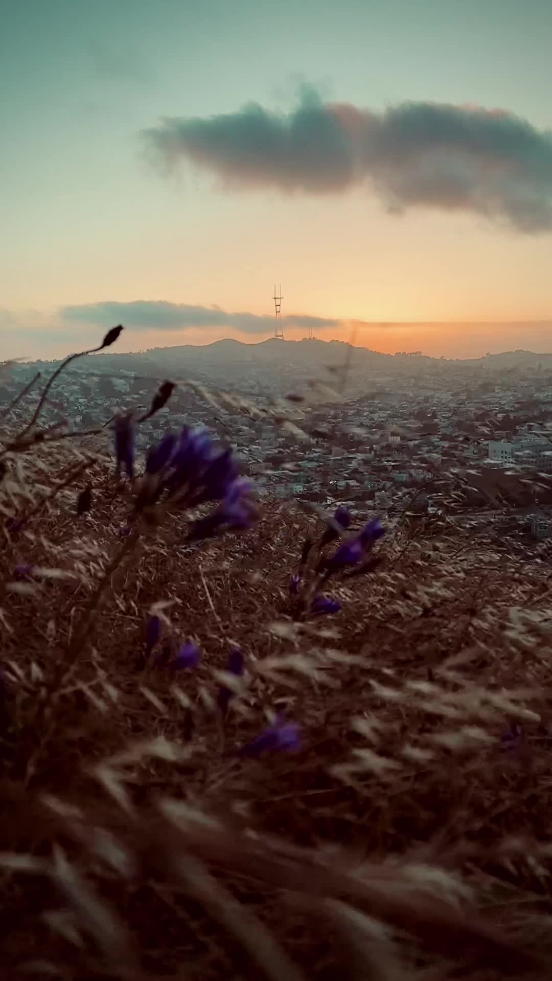 @resh510