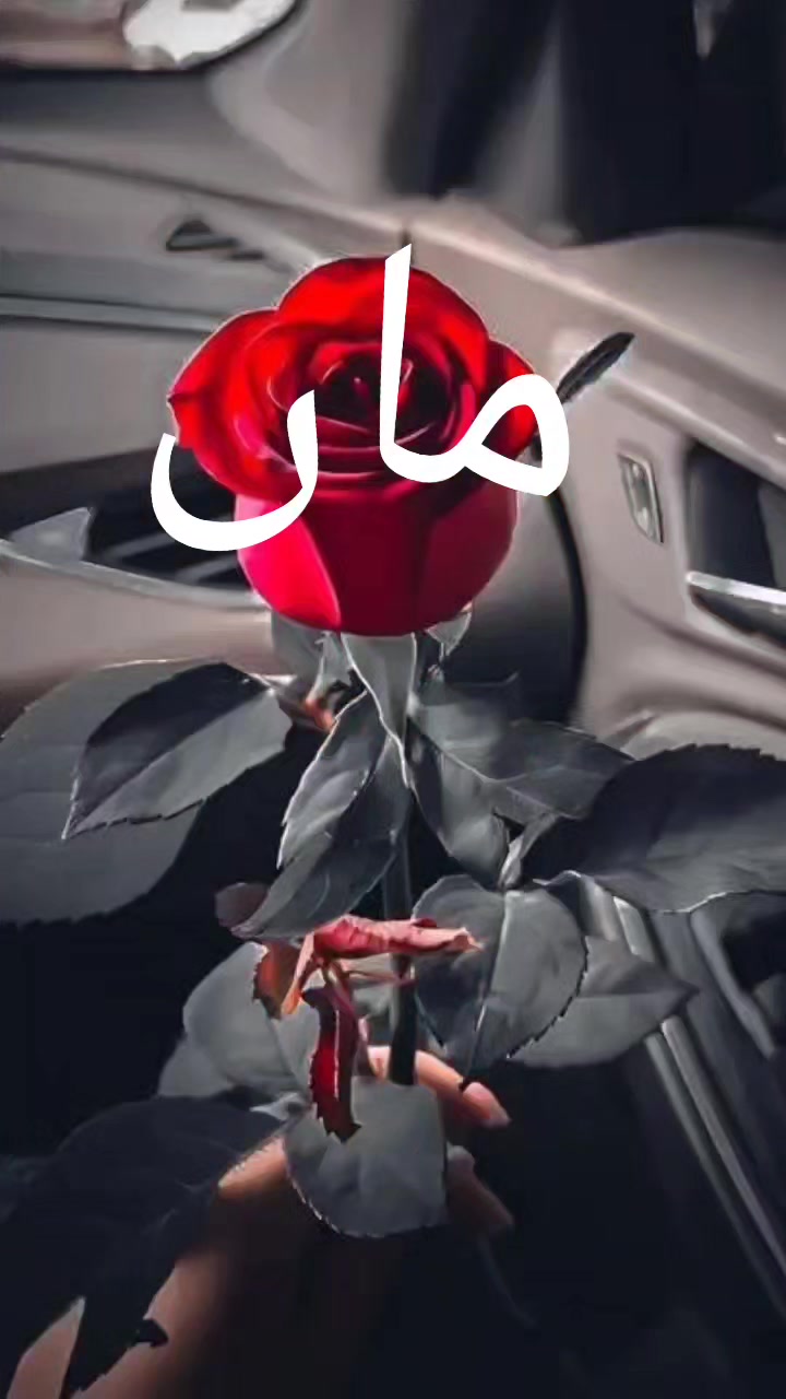 @Muslim girl