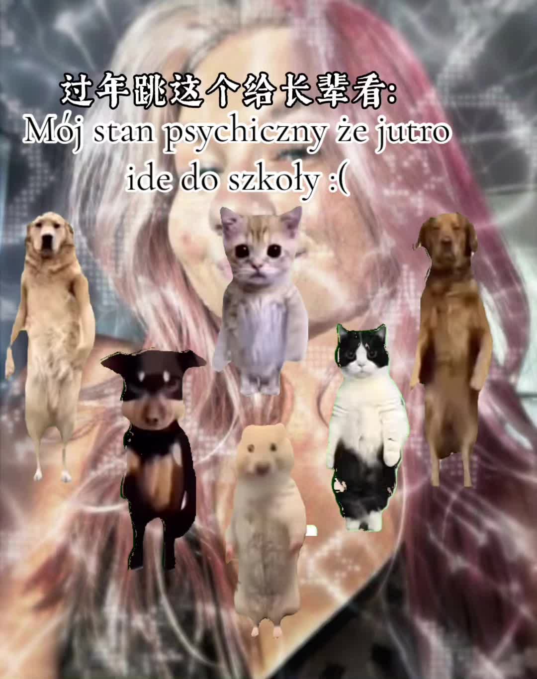 @✰✧ &bull;ᧁꫀꪀɀﺃꫀ &bull;✰✧